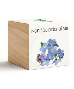 iGreen Cube Non ti Scordar di Me