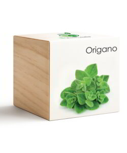 iGreen Cube Origano