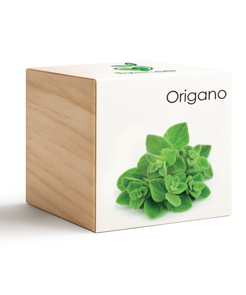 iGreen Cube Origano
