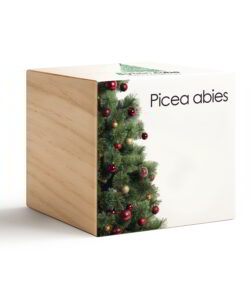 iGreen Cube Picea Abies