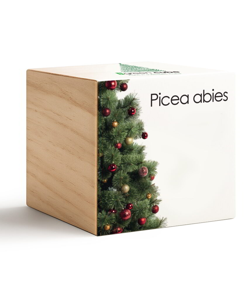 iGreen Cube Picea Abies