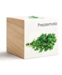iGreen Cube Prezzemolo