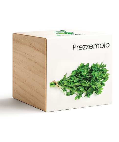 iGreen Cube Prezzemolo 487x583