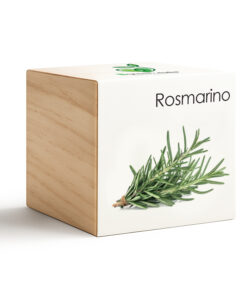 iGreen Cube Rosmarino
