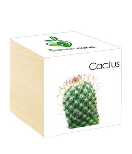 iGreen cube Cactus