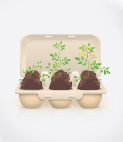 iGreen Eggs confezione rendering