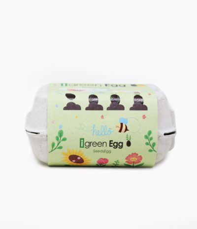 iGreen Eggs confezione da 6