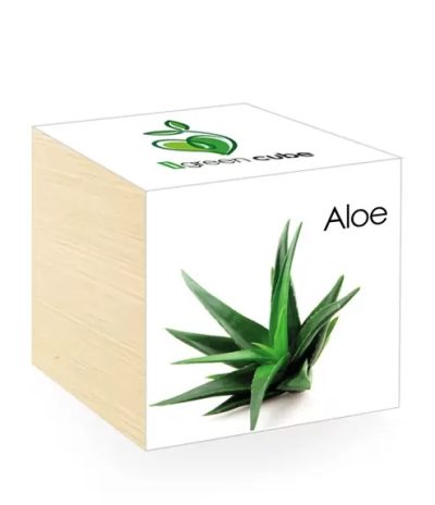 iGreen Cube, Eco Cube in Legno 7.5x7.5 cm Aloe con Confezione avvolgente Standard
