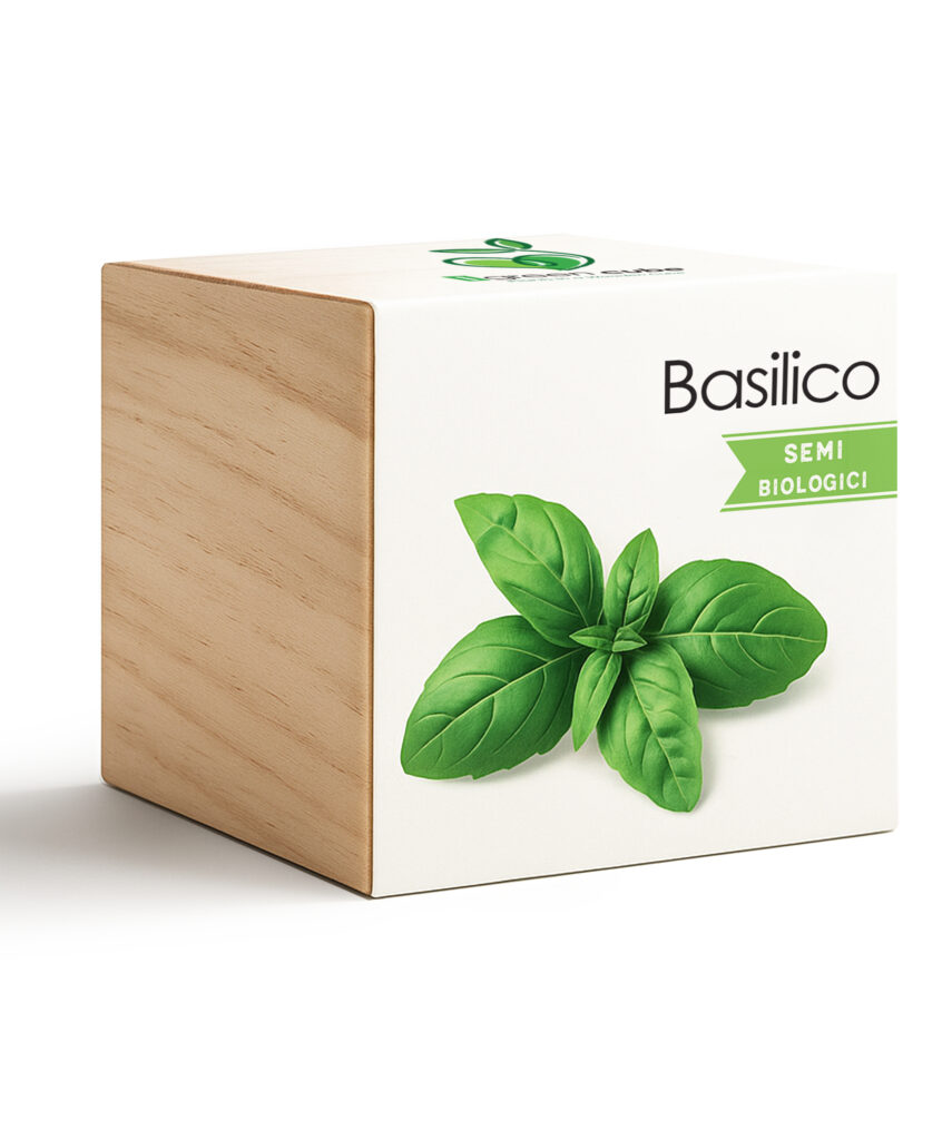 iGreen Cube Basilico