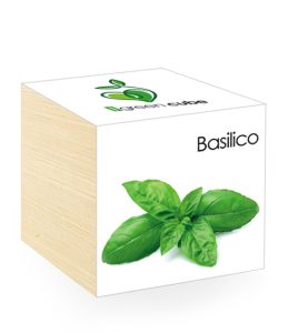 iGreen Cube, Eco Cube in Legno 7.5x7.5 cm Basilico con Confezione avvolgente Standard