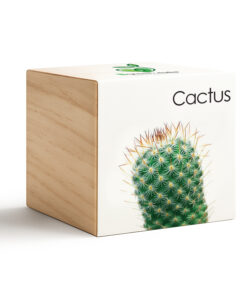 iGreen Cube Cactus