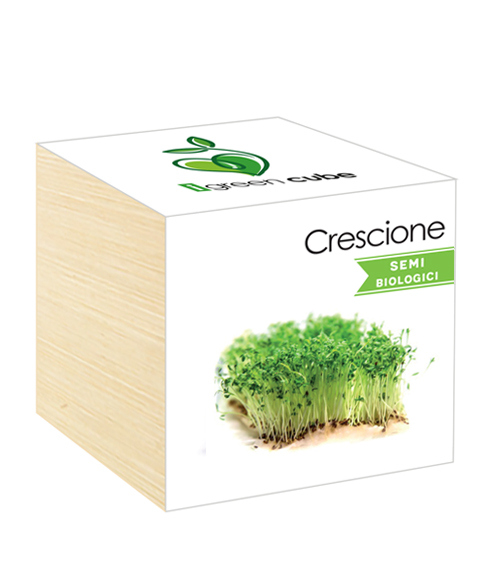 iGreen Cube, Eco Cube in Legno 7.5x7.5 cm Crescione con Confezione avvolgente Standard