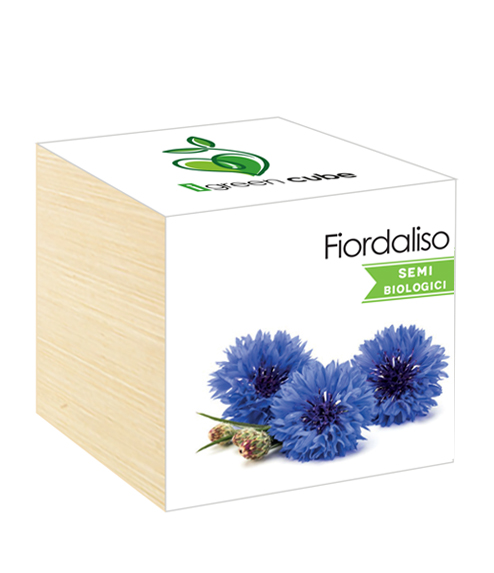 iGreen Cube, Eco Cube in Legno 7.5x7.5 cm Fiordaliso con Confezione avvolgente Standard