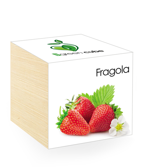 iGreen Cube, Eco Cube in Legno 7.5x7.5 cm Fragola con Confezione avvolgente Standard