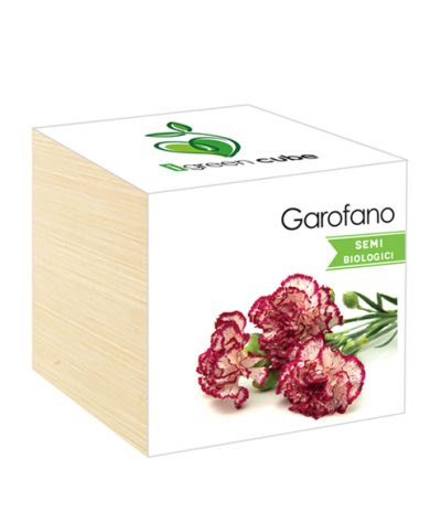 iGreen Cube, Eco Cube in Legno 7.5x7.5 cm Garofano con Confezione avvolgente Standard