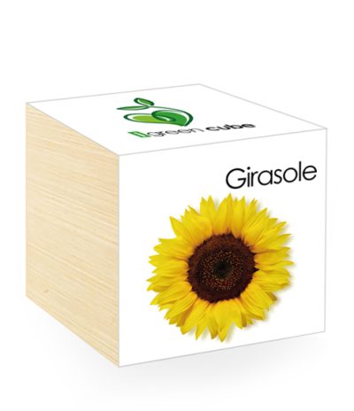 iGreen Cube, Eco Cube in Legno 7.5x7.5 cm Girasole con Confezione avvolgente Standard