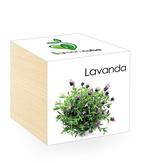 iGreen Cube, Eco Cube in Legno 7.5x7.5 cm Lavanda con Confezione avvolgente Standard