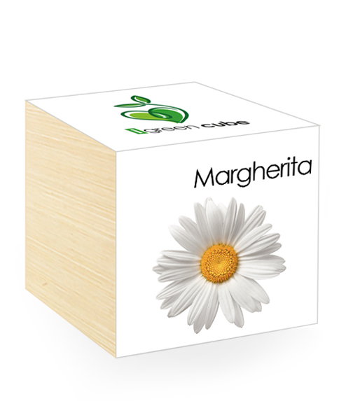 iGreen Cube, Eco Cube in Legno 7.5x7.5 cm Margherita con Confezione avvolgente Standard