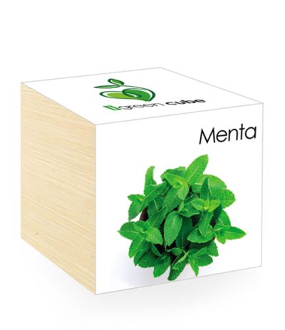 iGreen Cube, Eco Cube in Legno 7.5x7.5 cm Menta con Confezione avvolgente Standard