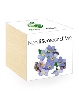 iGreen Cube, Eco Cube in Legno 7.5x7.5 cm Non ti scordar di me con Confezione avvolgente Standard