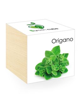 iGreen Cube, Eco Cube in Legno 7.5x7.5 cm Origano con Confezione avvolgente Standard