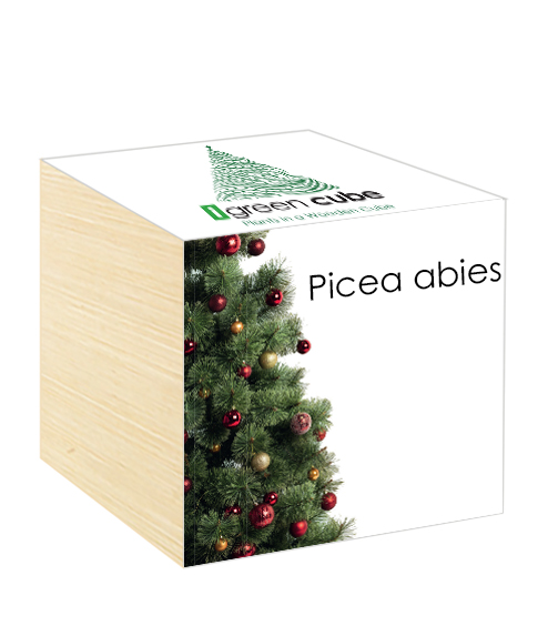iGreen Cube, Eco Cube in Legno 7.5x7.5 cm Picea abies con Confezione avvolgente Standard