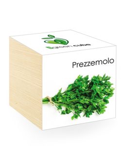 iGreen Cube, Eco Cube in Legno 7.5x7.5 cm Prezzemolo con Confezione avvolgente Standard