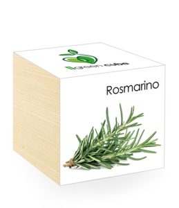 iGreen Cube, Eco Cube in Legno 7.5x7.5 cm Rosmarino con Confezione avvolgente Standard