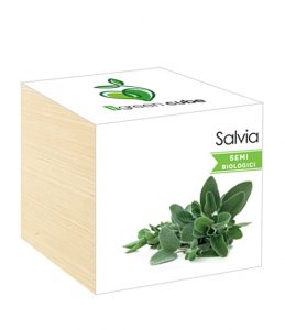 iGreen Cube, Eco Cube in Legno 7.5x7.5 cm Salvia con Confezione avvolgente Standard