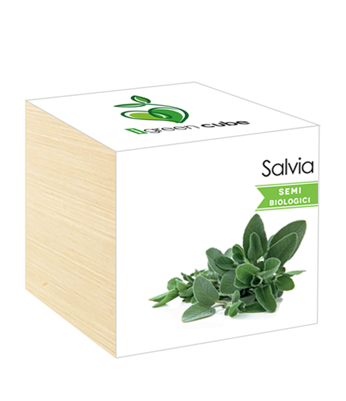 iGreen Cube, Eco Cube in Legno 7.5x7.5 cm Salvia con Confezione avvolgente Standard