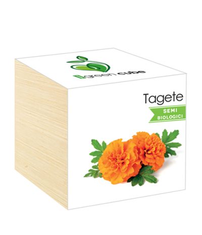 iGreen Cube, Eco Cube in Legno 7.5x7.5 cm Tagete con Confezione avvolgente Standard