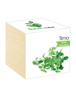 iGreen Cube, Eco Cube in Legno 7.5x7.5 cm Timo con Confezione avvolgente Standard