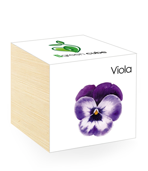 iGreen Cube, Eco Cube in Legno 7.5x7.5 cm Viola con Confezione avvolgente Standard