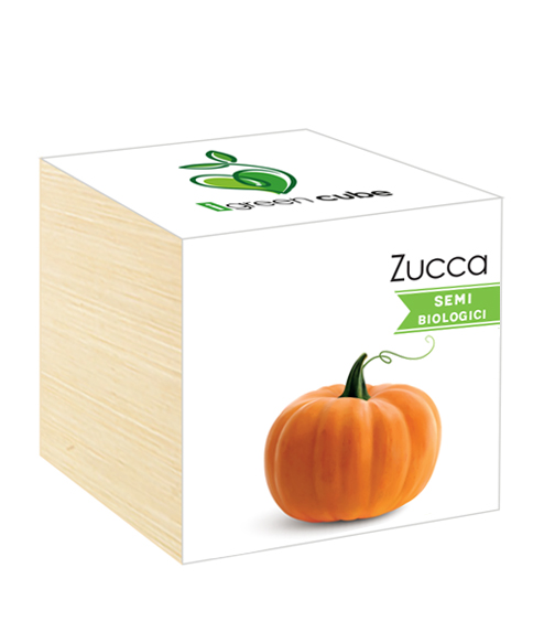 iGreen Cube, Eco Cube in Legno 7.5x7.5 cm Zucca con Confezione avvolgente Standard