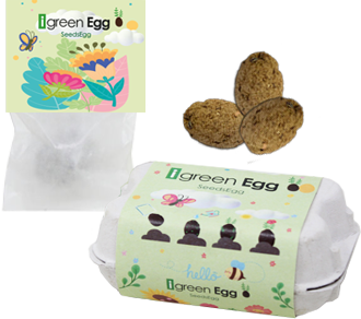 iGreen egg  Seedegg Bombe di Semi 