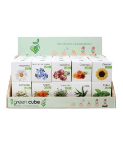 iGreen Cube - display