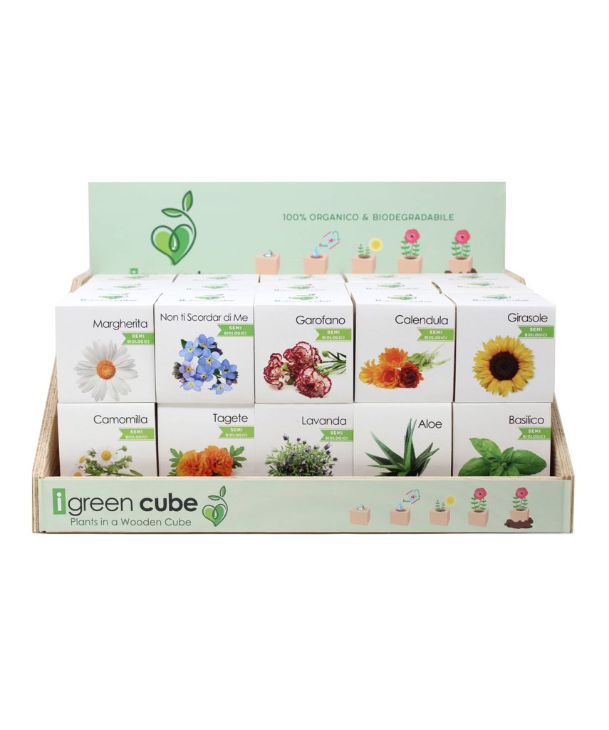 iGreen Cube - display