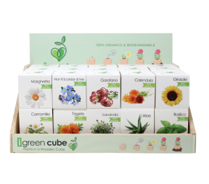 miniatura sito - display cube-01