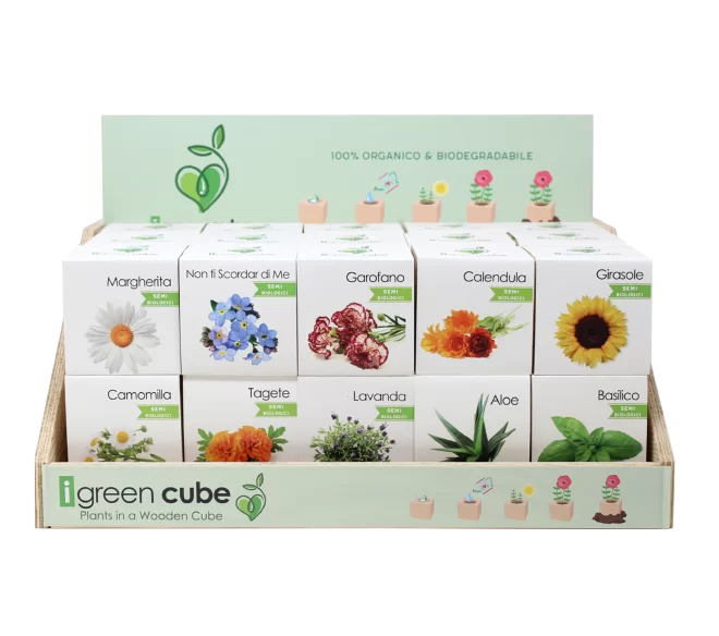 miniatura sito - display cube-01