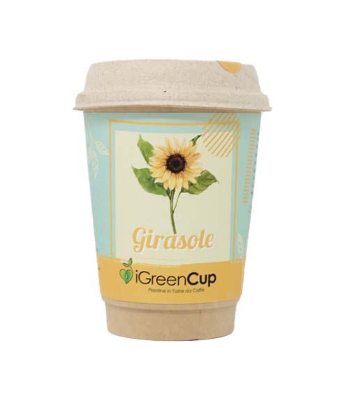 iGreen-Cup-Girasole