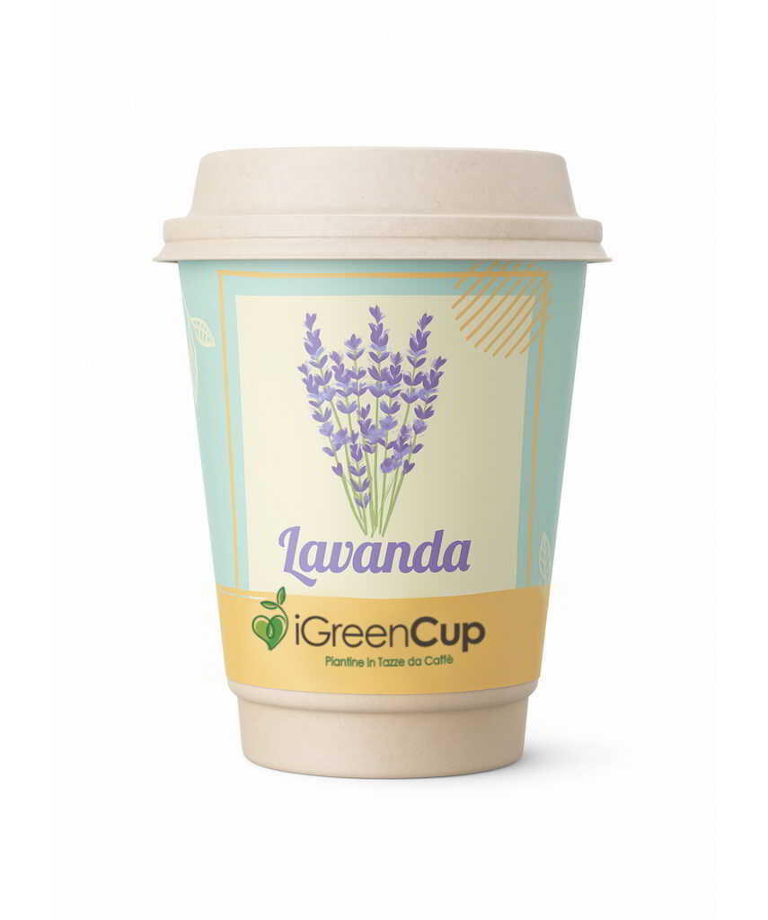 iGreen Cup Lavanda