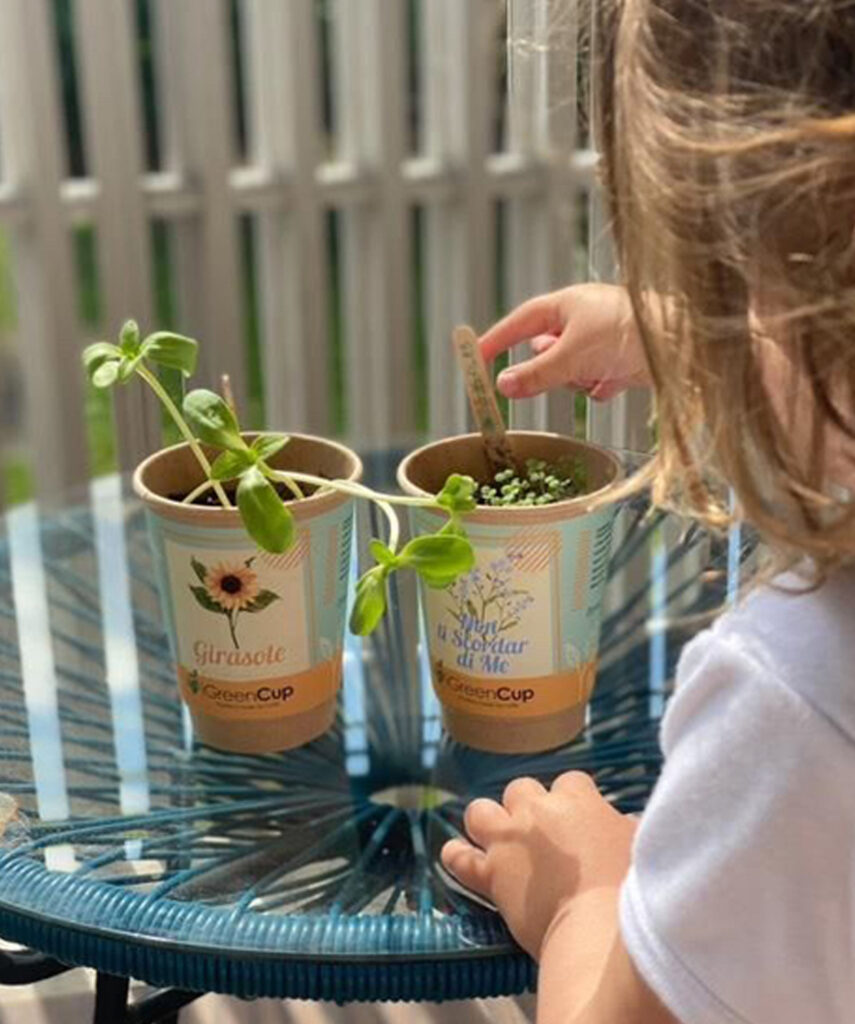 iGreencup-Bimba