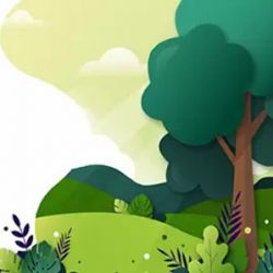 Pianta/Adotta un Albero Immagine Iconografica