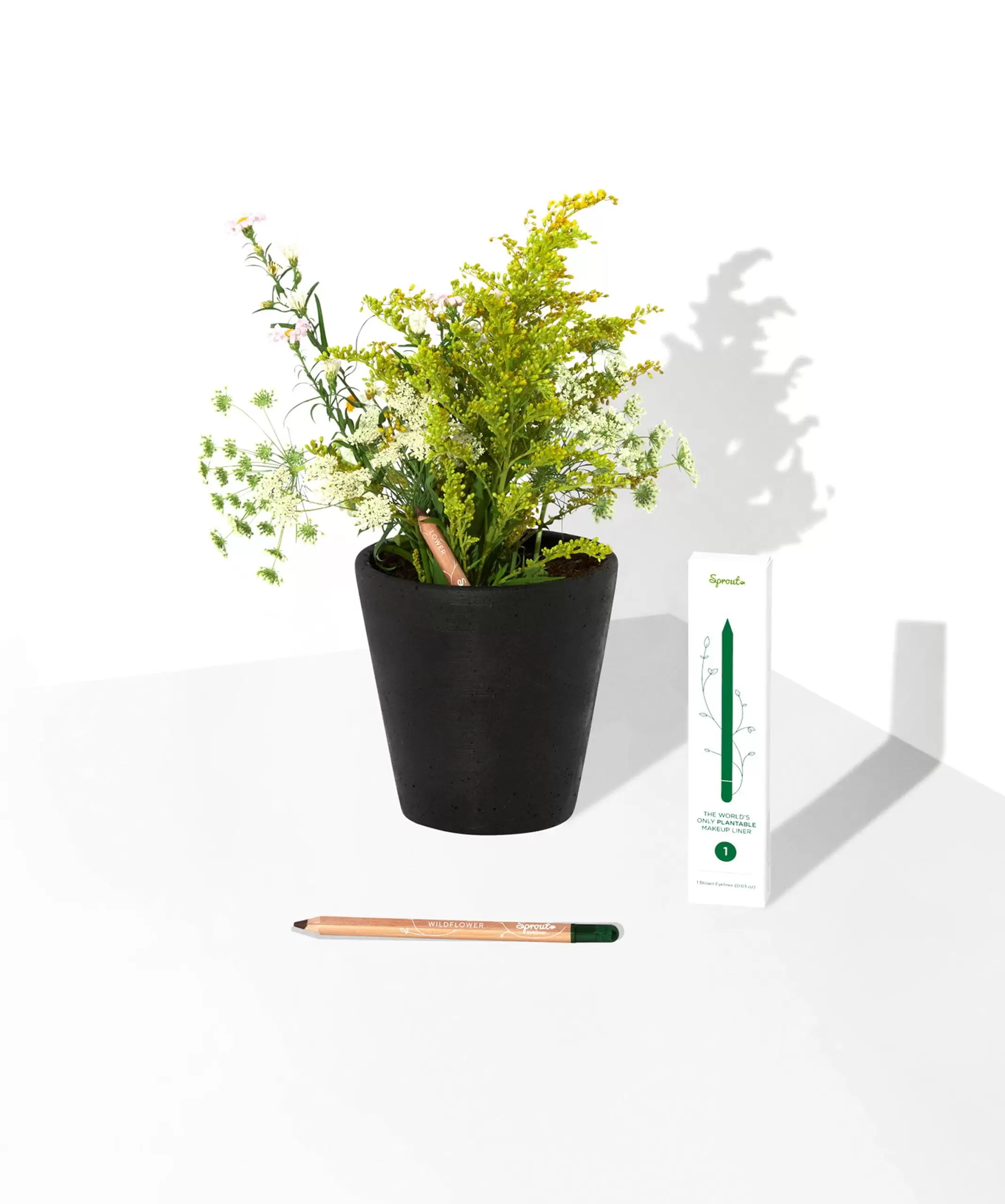 Eyeliner Sprout Marrone con vaso