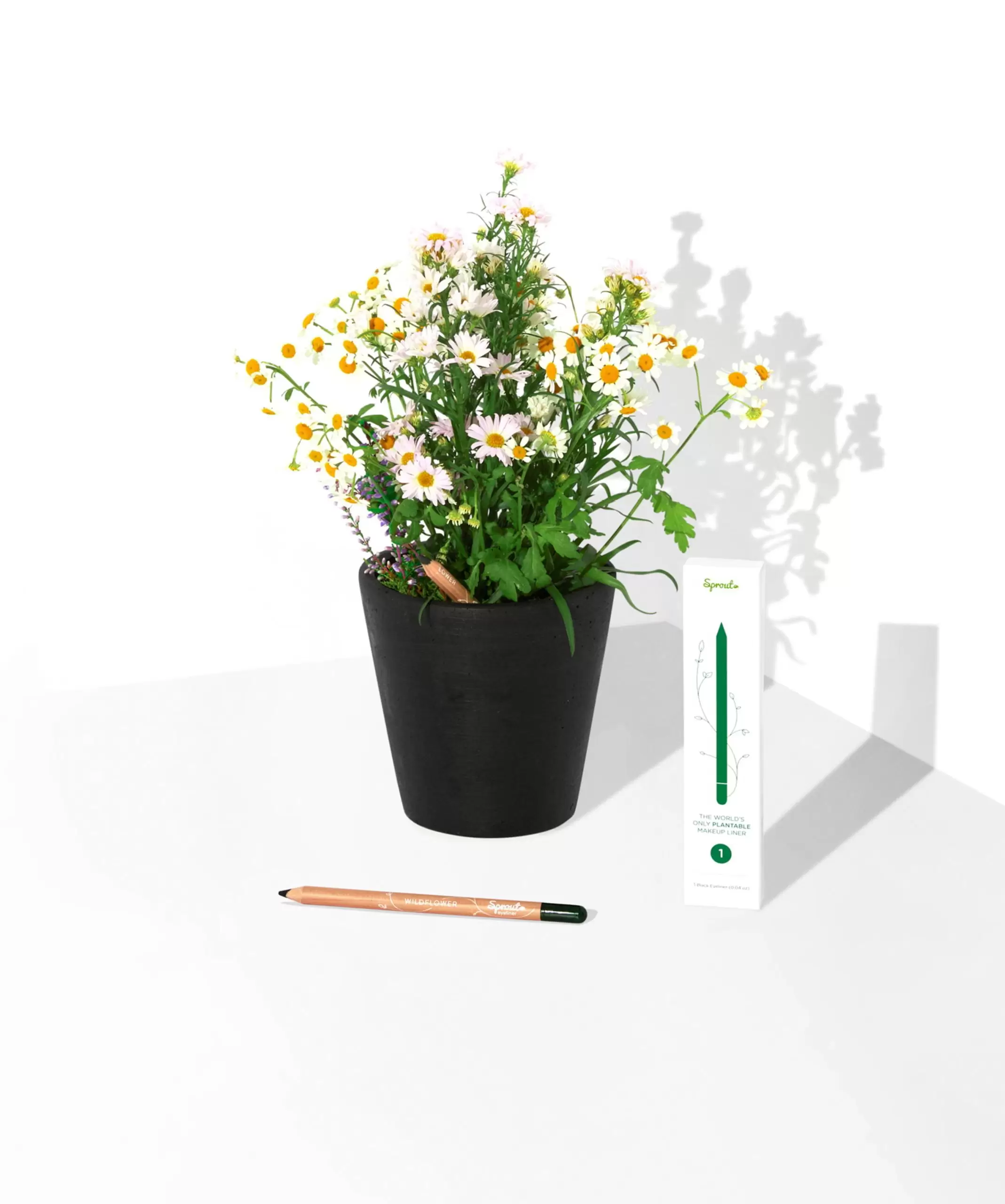 Eyeliner Sprout Nero con vaso