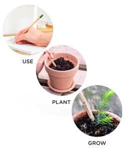 1.Matite-Christmas-tree 1