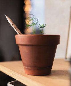 4.Matite-Christmas-tree 1