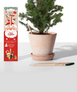 5.Matite-Christmas-tree 1