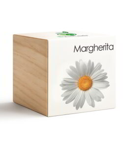 iGreen Cube Margherita