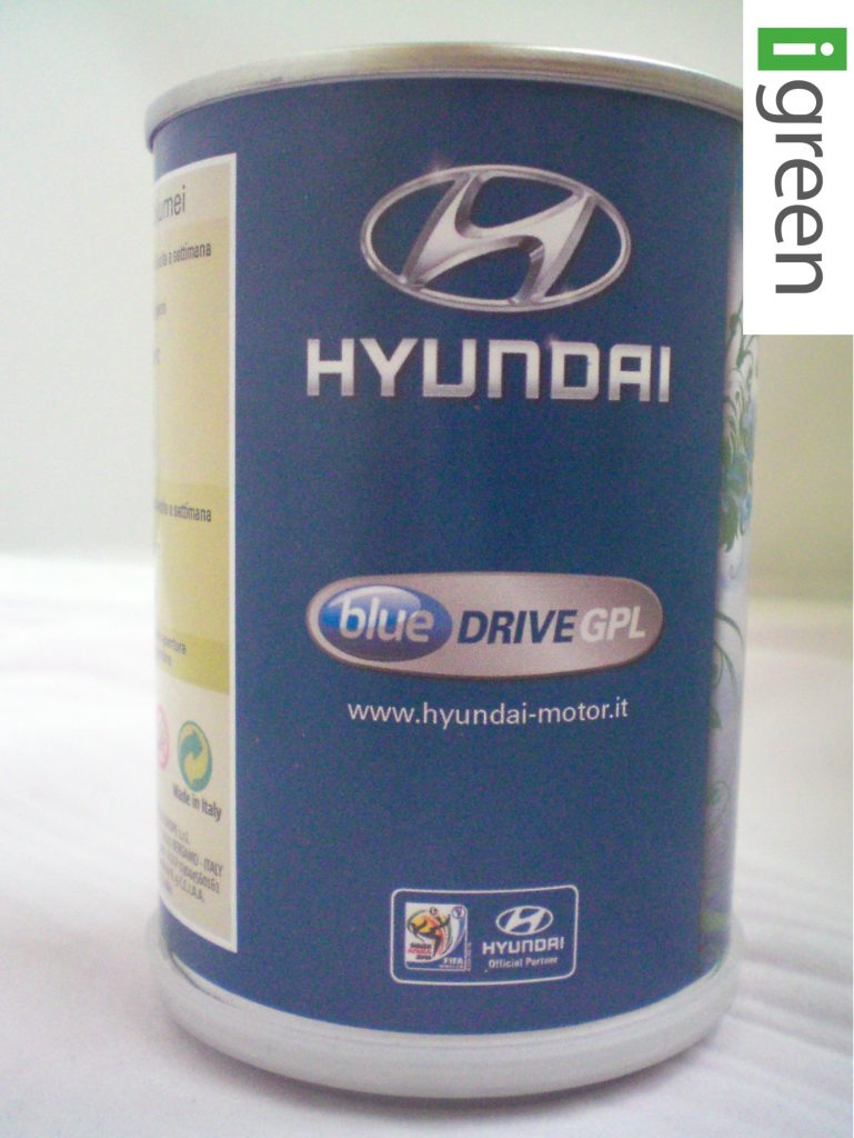 Microgiardini I Progetto Hyundai